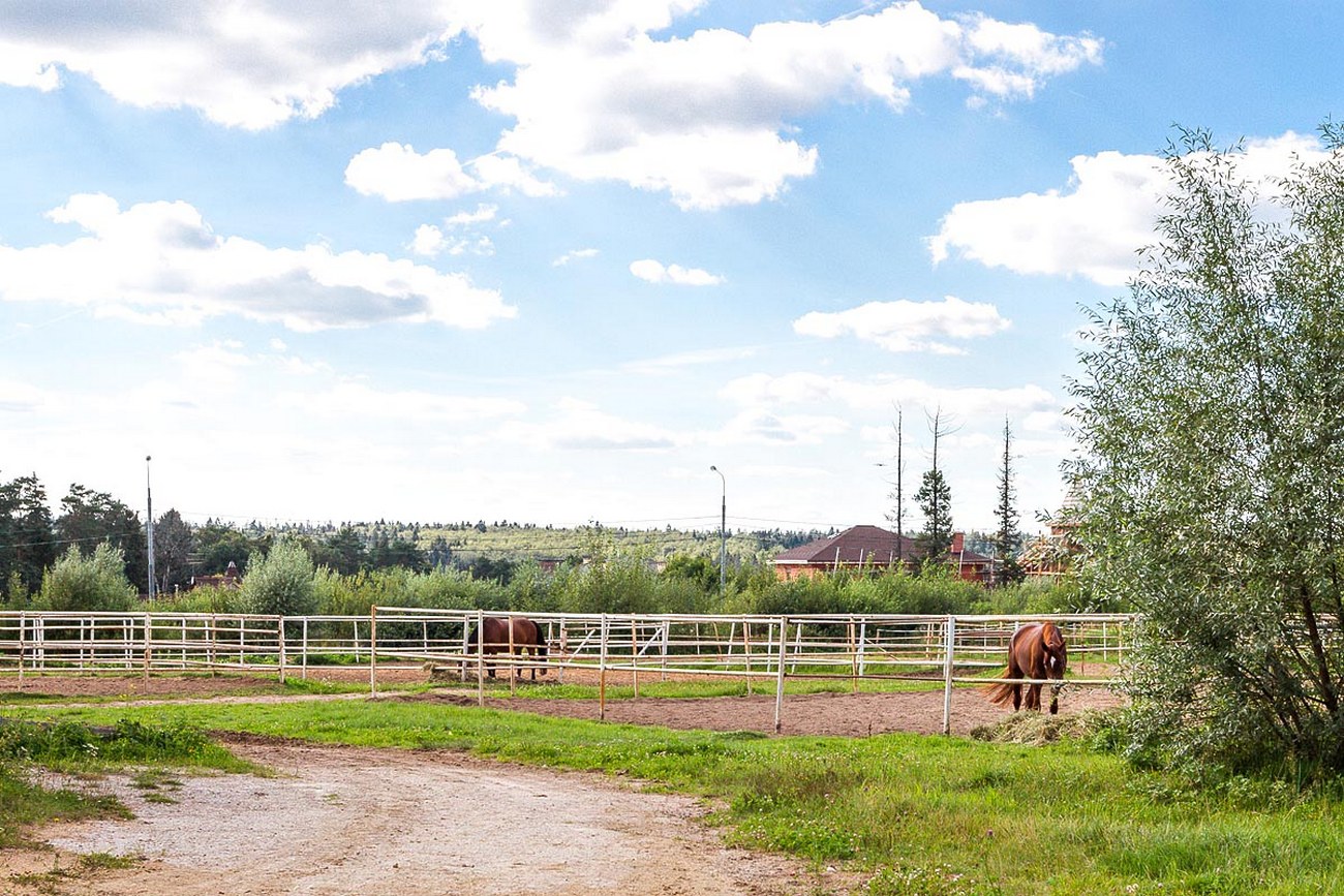 Подушкино Фото 10098 Подушкино Фото 16201